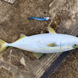 爆風の中耐えていい事ありました